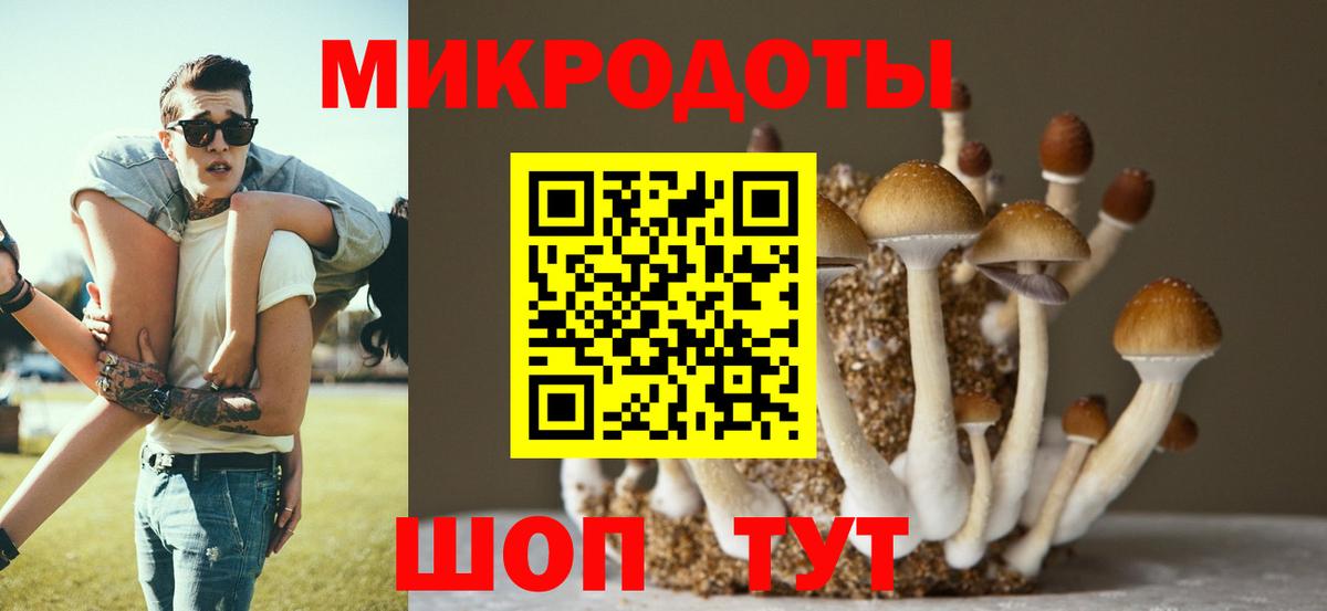 Галлюциногенные грибы ЛСД Отрадный