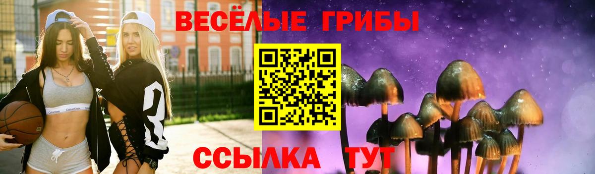 Псилоцибиновые грибы Psilocybine cubensis  Вход с VPN  Отрадный  Галлюциногенные грибы Psilocybe 